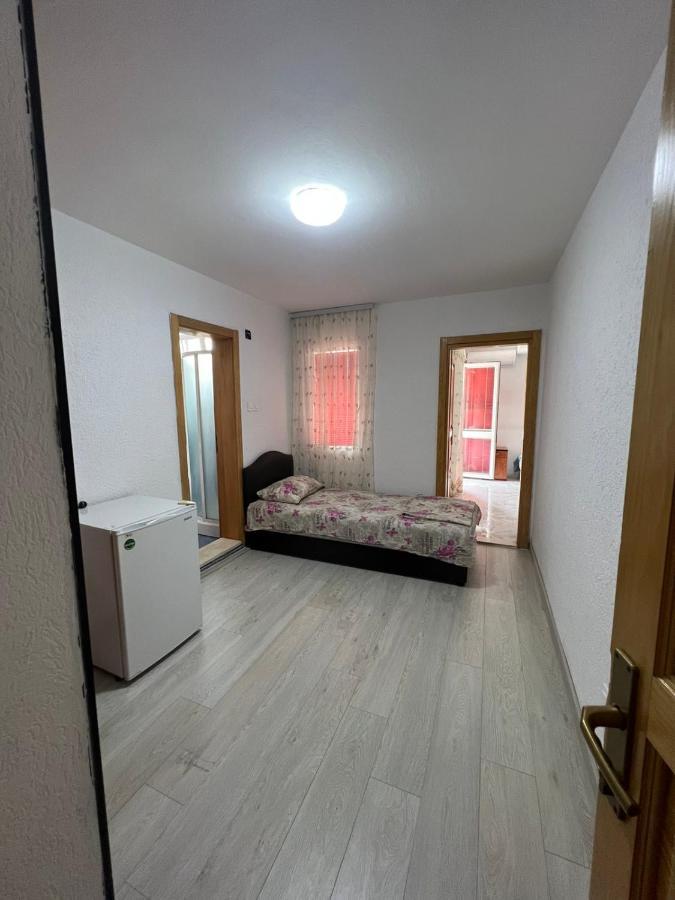Villa Ajsa Бар Экстерьер фото